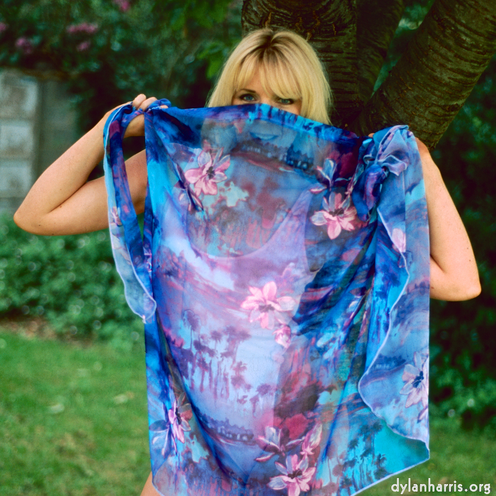 Image 'sue (iv) 10'.