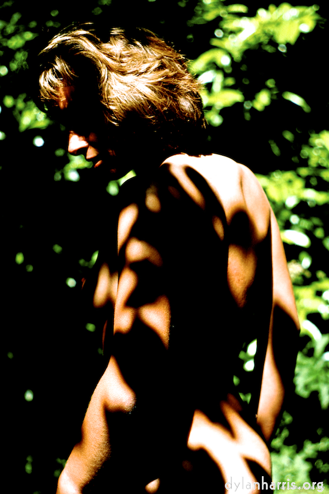 Image 'lisa (liii) 2'.