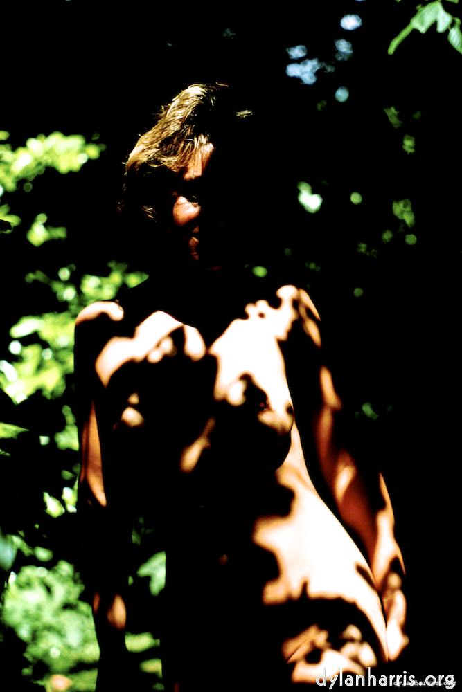 Image 'lisa (liii) 3'.