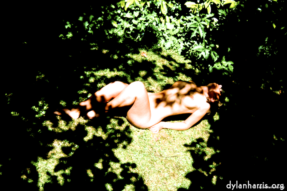 Image: Image 'lisa (liv) 2'.