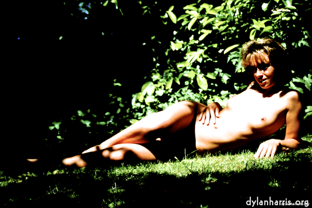 Image: Image 'lisa (lvi) 4'.