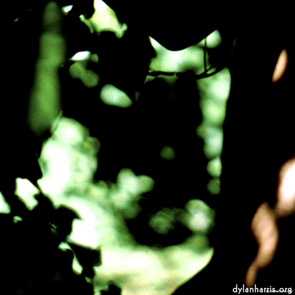 Image: Image 'lisa (lvii) 2'.