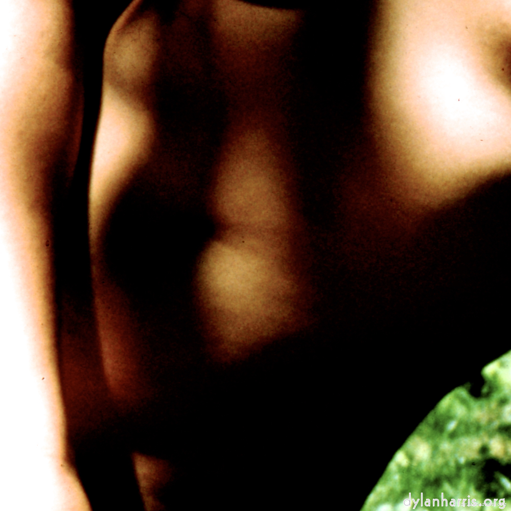 Image: Image 'lisa (lvii) 4'.