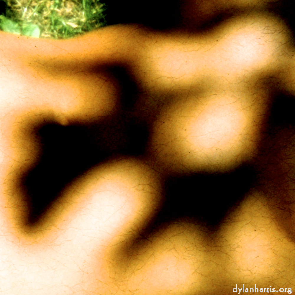 Image: Image 'lisa (lvii) 6'.