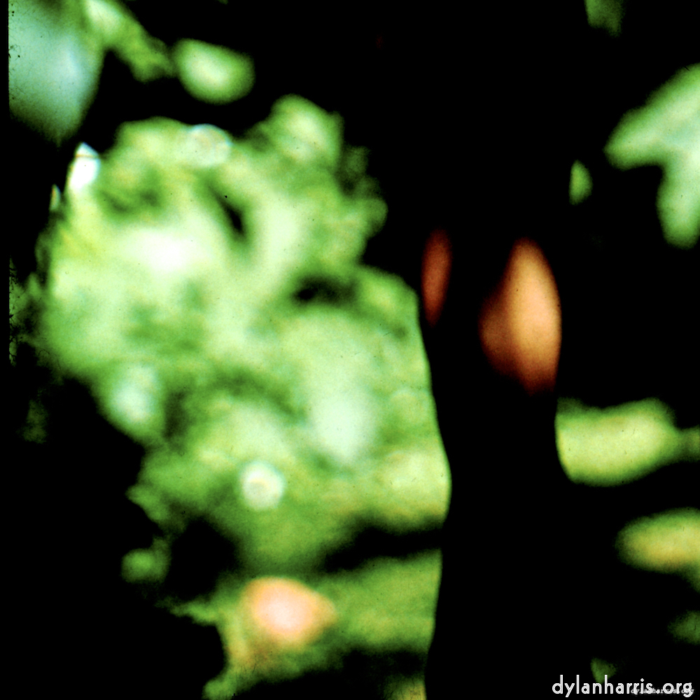 Image: Image 'lisa (lvii) 7'.