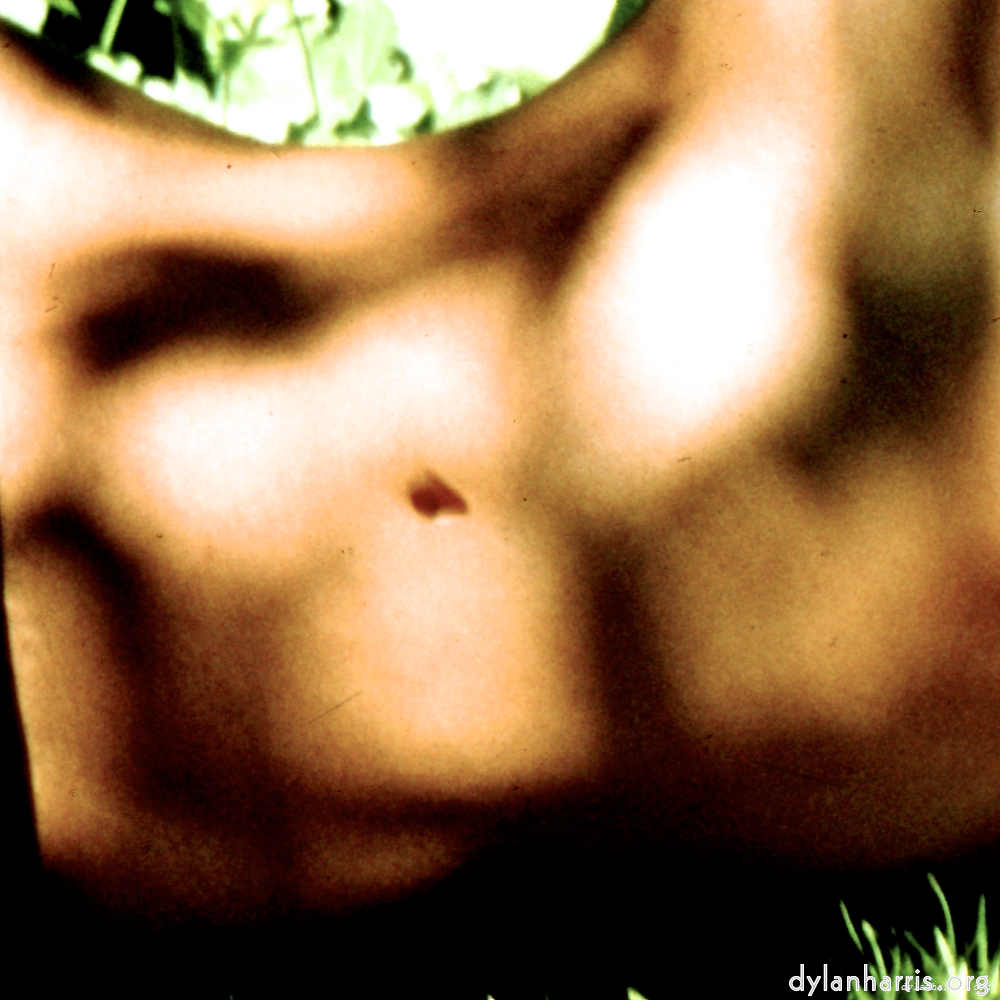 Image: Image 'lisa (lvii) 8'.