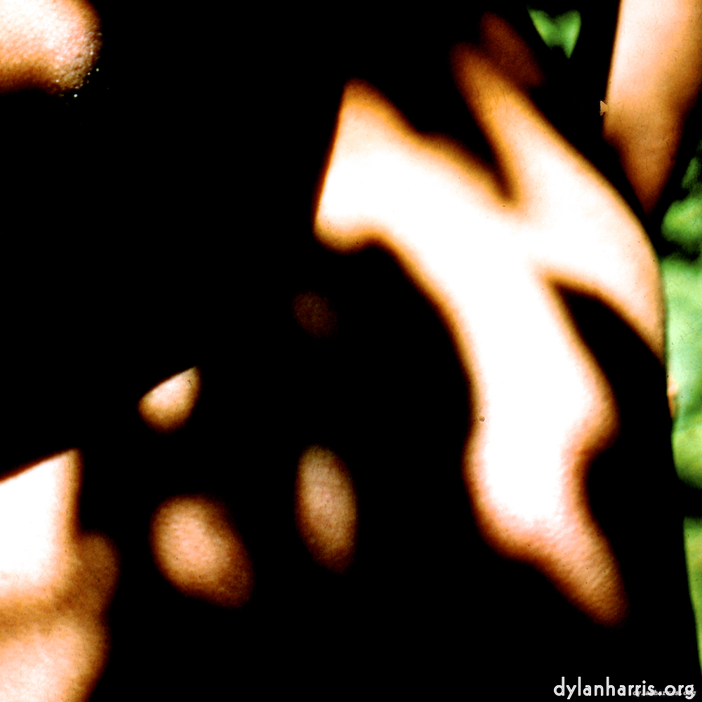 Image: Image 'lisa (lvii) 9'.