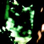 Second image from the photoset 'lisa (lvii)'.