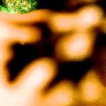 Sixth image from the photoset 'lisa (lvii)'.