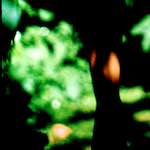 Seventh image from the photoset 'lisa (lvii)'.