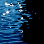 Image: First image from the photoset 'light (iv)'.