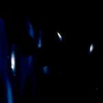 Image: Second image from the photoset 'light (iv)'.