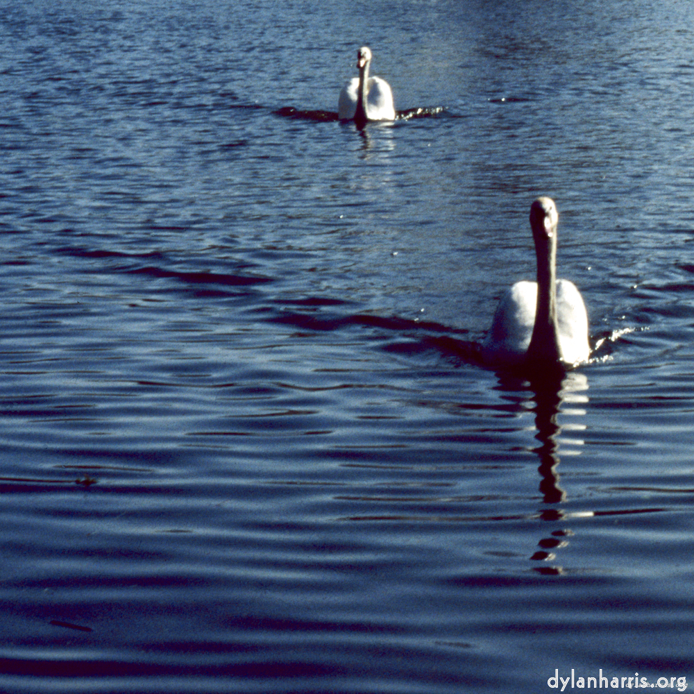 image: This is ‘
st. neots 1
’.