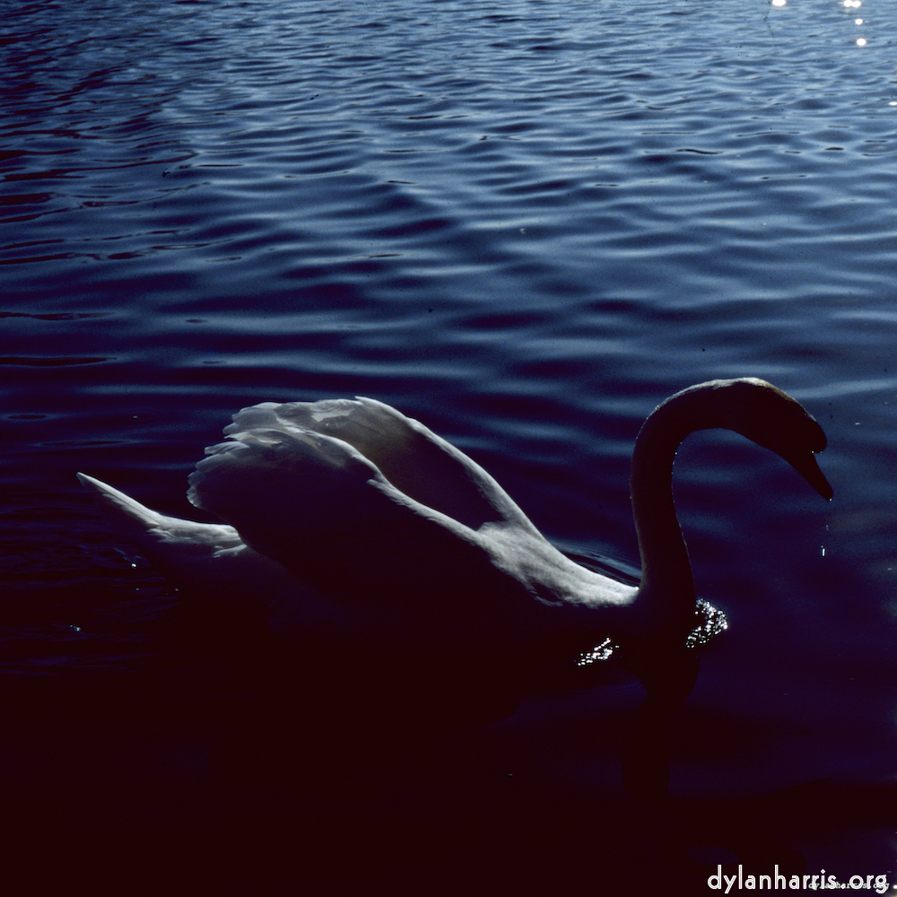 Image 'st. neots 2'.