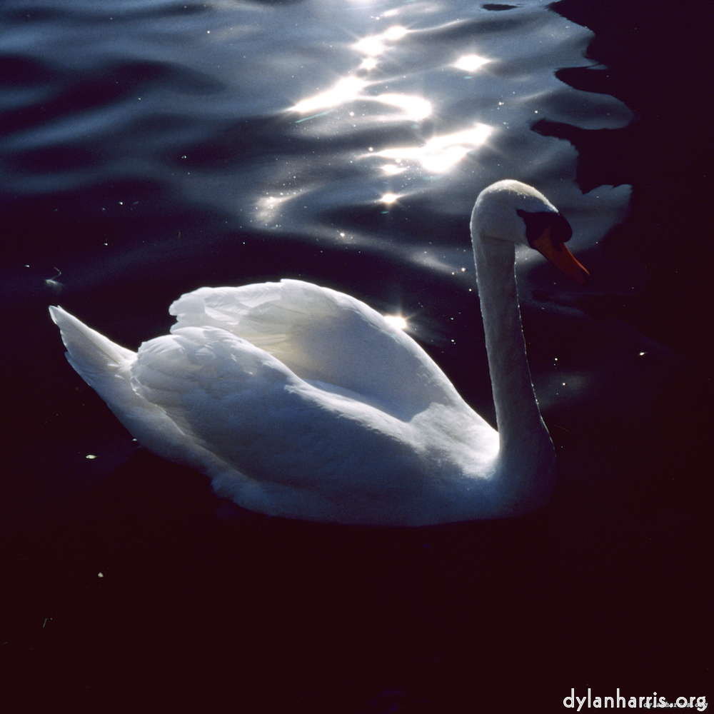 image: This is ‘
st. neots 5
’.