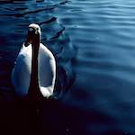 image: Image from the photoset ‘
st. neots (ii)
’.