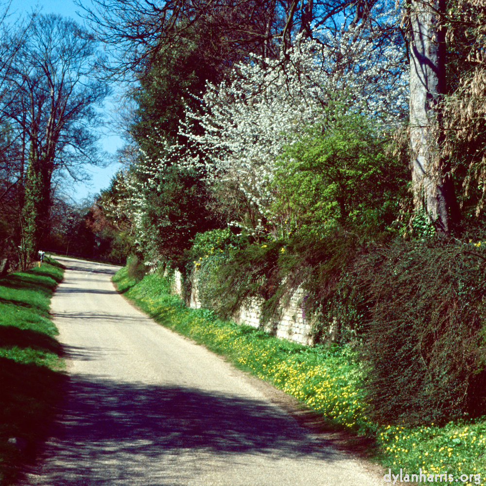 Image 'barnwell (iii) 1'.