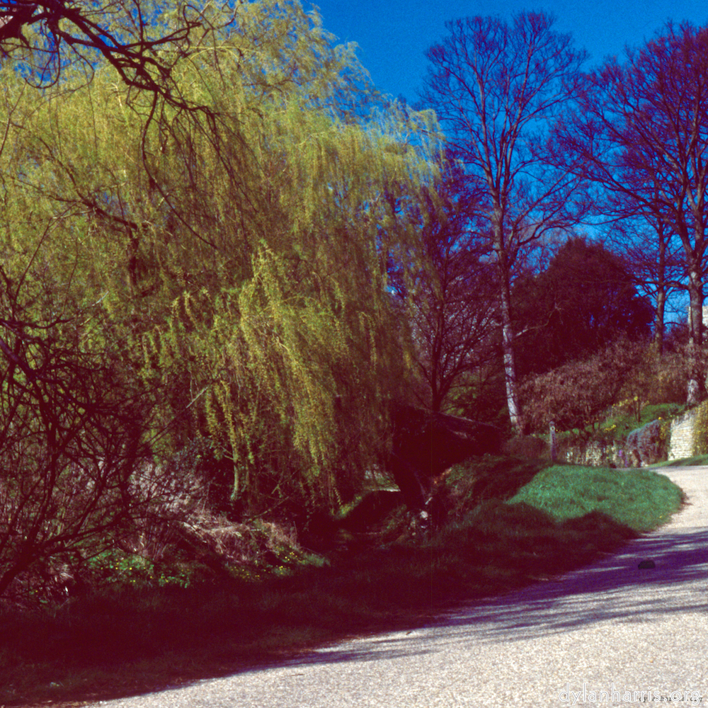 Image: Image 'barnwell (iii) 5'.