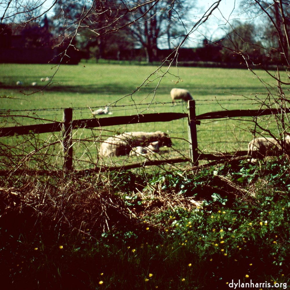 Image: Image 'barnwell (iii) 6'.