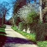 Image: First image from the photoset 'barnwell (iii)'.