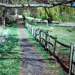 Image: Fourth image from the photoset 'barnwell (iii)'.