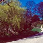 Image: Fifth image from the photoset 'barnwell (iii)'.