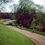 Image: Seventh image from the photoset 'barnwell (iii)'.