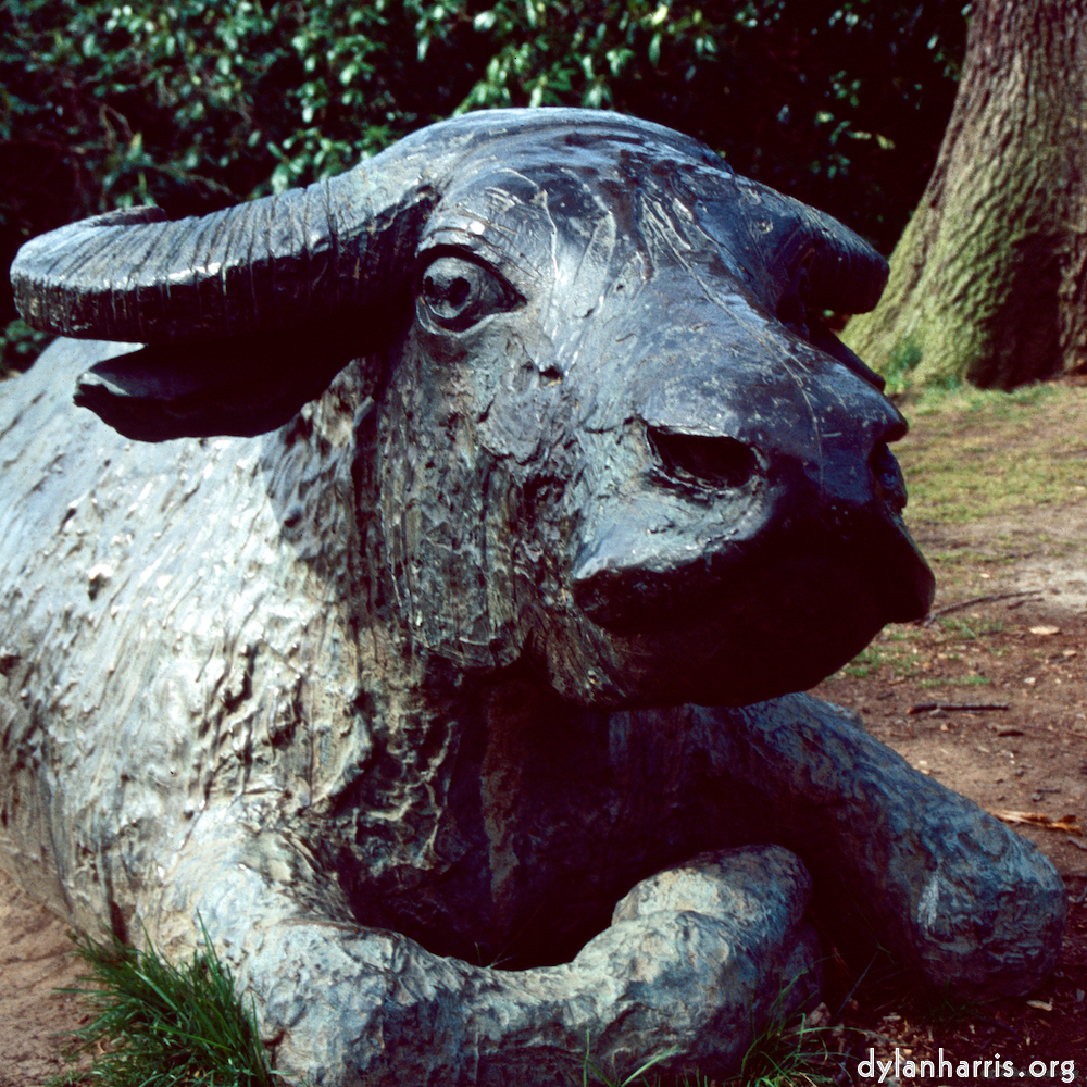 image: This is ‘
yorkshire (viii) 8
’.