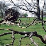 image: Image from the photoset ‘
yorkshire (viii)
’.