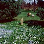 image: Image from the photoset ‘
yorkshire (viii)
’.