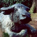 image: Image from the photoset ‘
yorkshire (viii)
’.