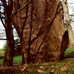 Image: Second image from the photoset 'yorkshire (ix)'.