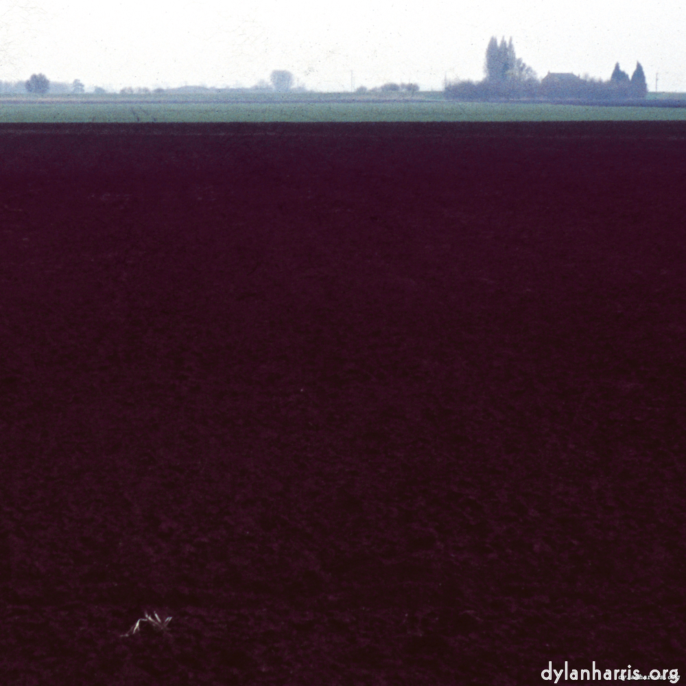 Image: Image 'fen (x) 3'.