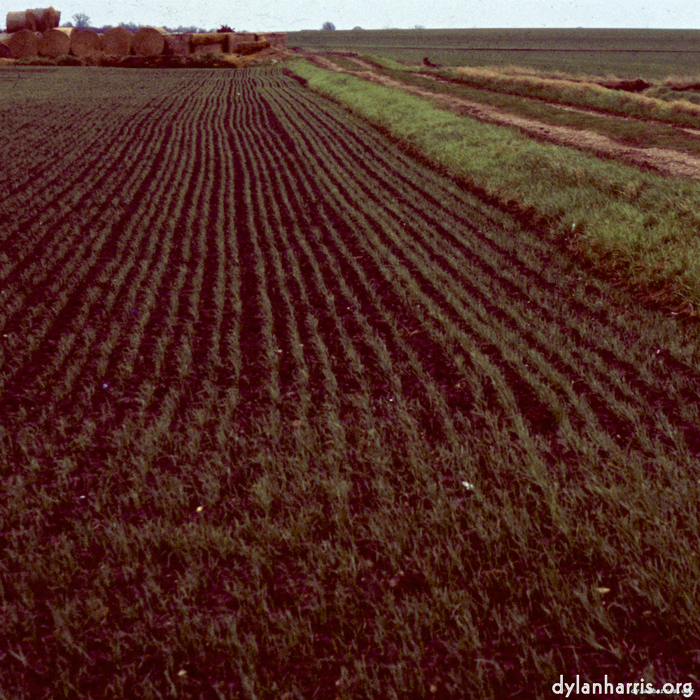 Image: Image 'fen (x) 7'.