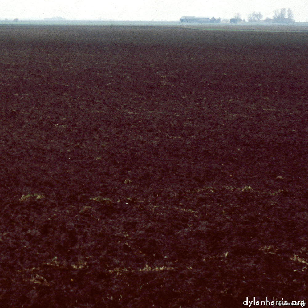 Image: Image 'fen (x) 9'.