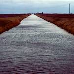 Image: Second image from the photoset 'fen (x) '.