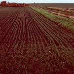 Image: Seventh image from the photoset 'fen (x) '.