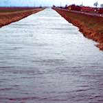 Image: Eighth image from the photoset 'fen (x) '.