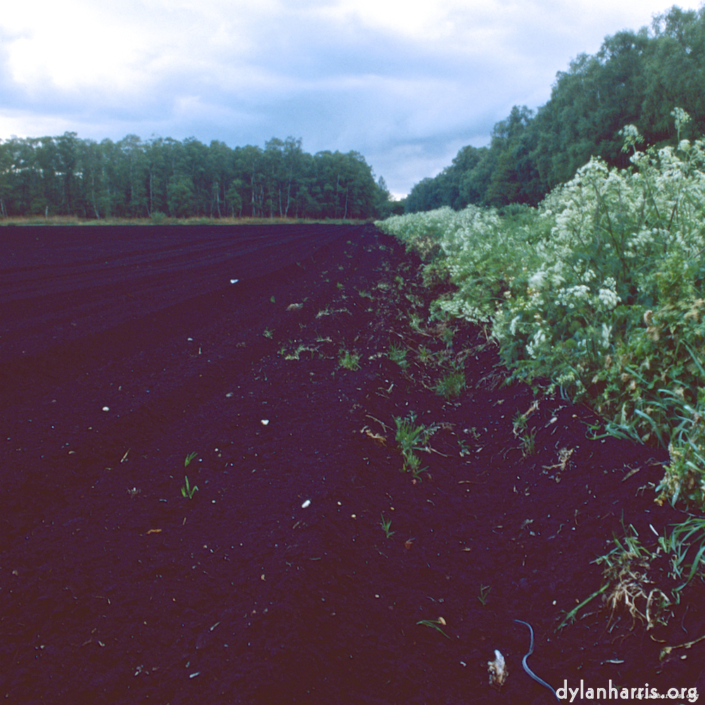 Image 'fen (viii) 2'.