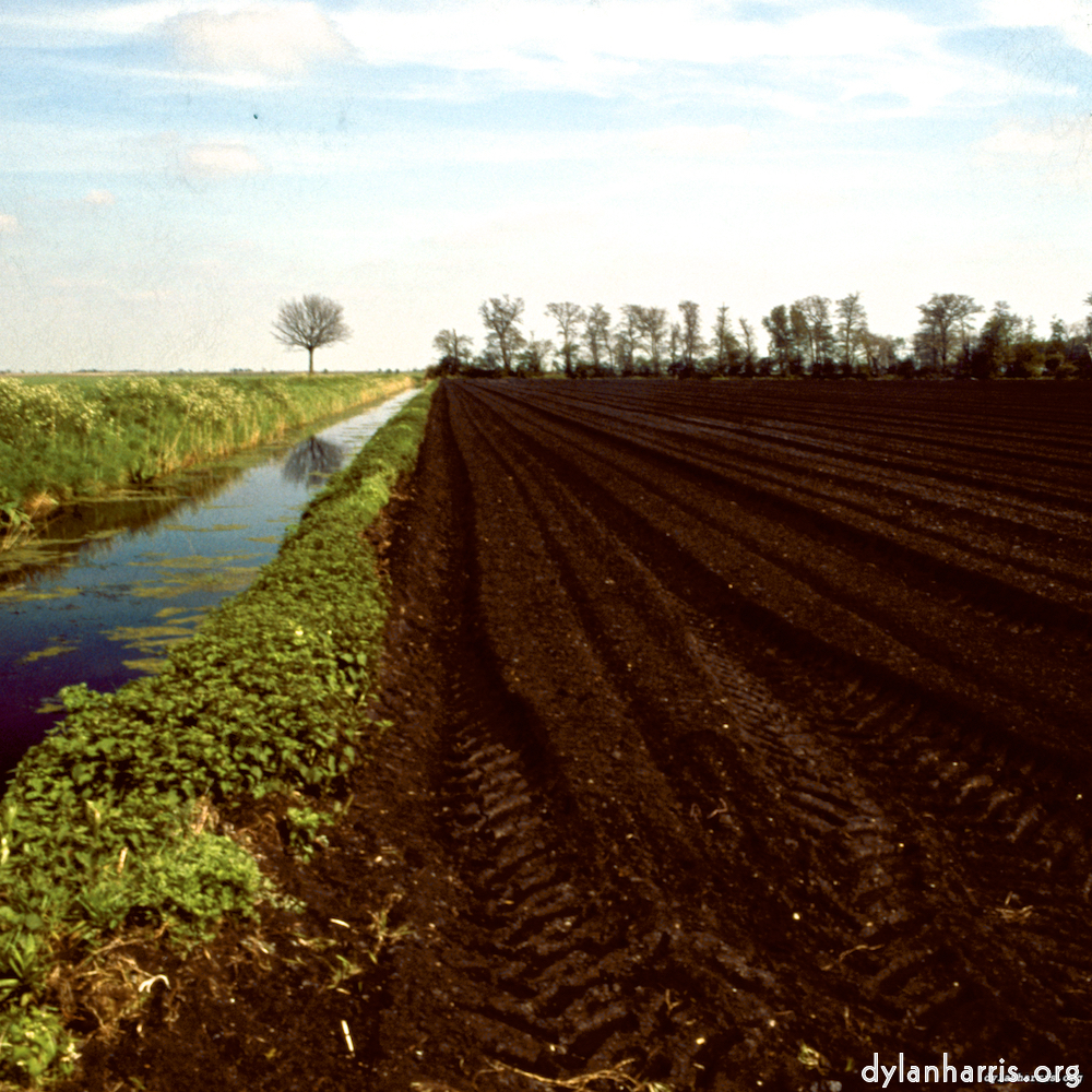 Image 'fen (viii) 3'.