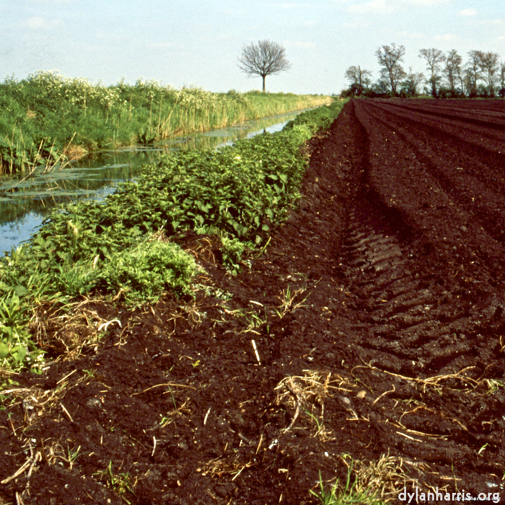 Image: Image 'fen (viii) 4'.