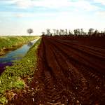 Third image from the photoset 'fen (viii)'.