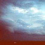 Image: First image from the photoset 'the fox'.