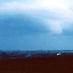 Image: Third image from the photoset 'the fox'.