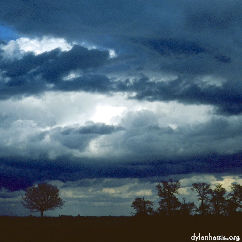 Image: Image 'fen (ix) 3'.