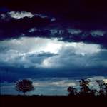 First image from the photoset 'fen (ix)'.