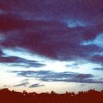 Second image from the photoset 'fen (ix)'.