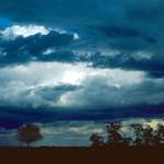 Third image from the photoset 'fen (ix)'.