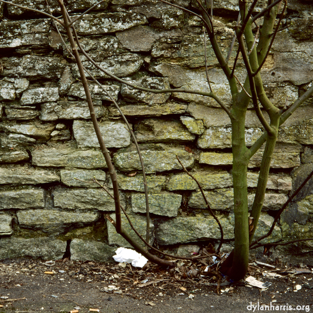 image: This is ‘
st. neots 2
’.