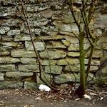 Image: Second image from the photoset 'st. neots (i)'.